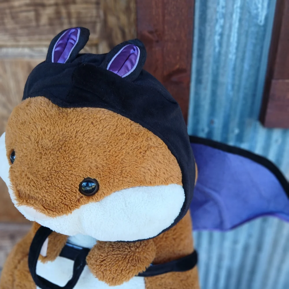Pet costume adorable bat